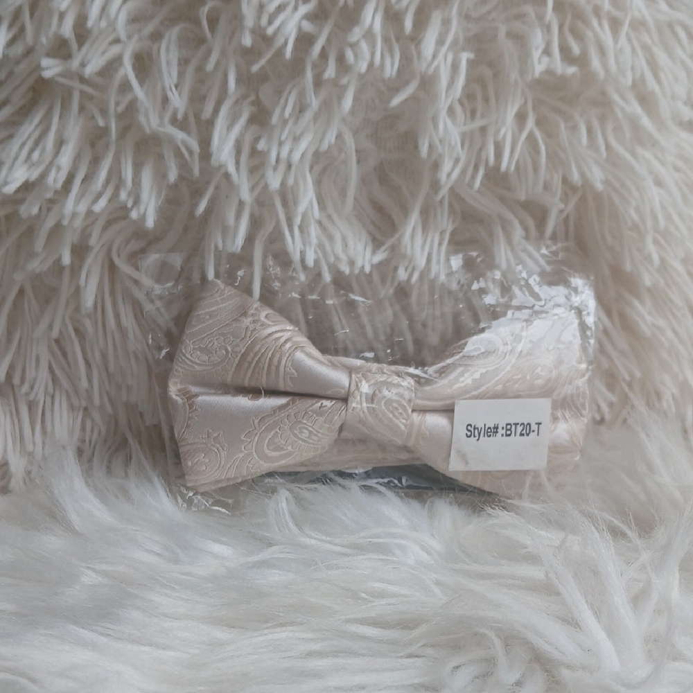 Elegant Cream Paisley Tie